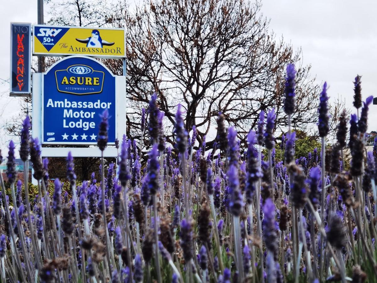 Asure Ambassador Motor Lodge Oamaru Esterno foto
